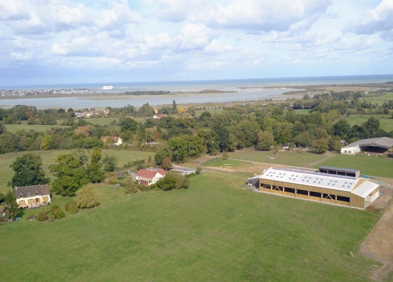 Les crins de la baie Merville-Franceville-Plage