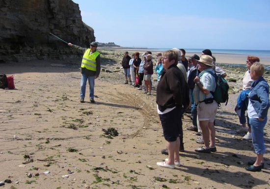 Visite des falaises en groupe – Lion sur Mer