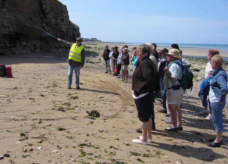 Visite des falaises en groupe - Lion sur Mer