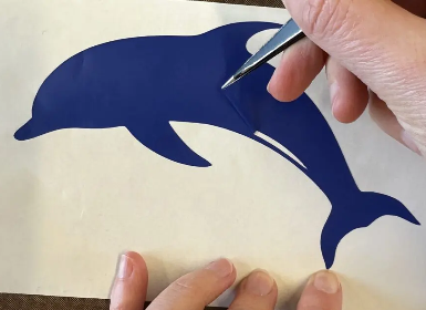 Fabrique à T-shirt : mammifères marins