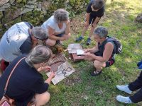 Fédération des Guides de Normandie