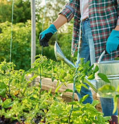 Exposition « Mission potager »