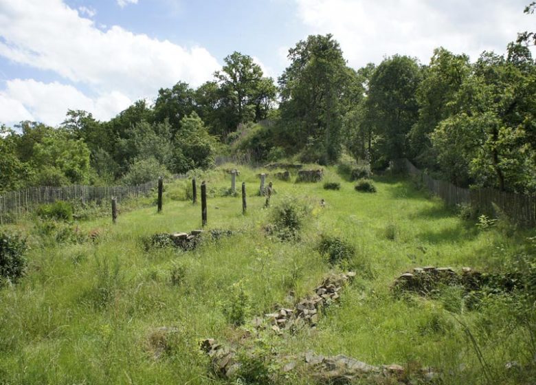 La motte d Olivet dans le Calvados