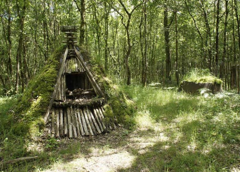 La motte de Charbonnier a la foret de Grimbosq