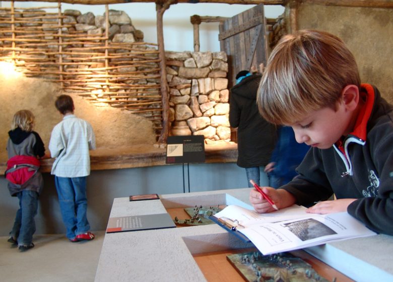 Musée de Vieux la Romaine