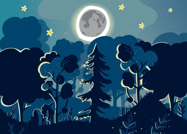 Nuit au jardin