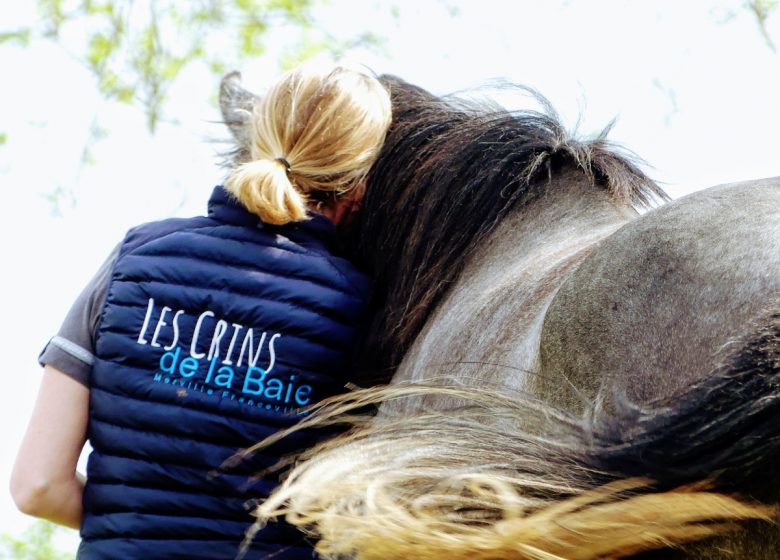 Un moment avec votre cheval