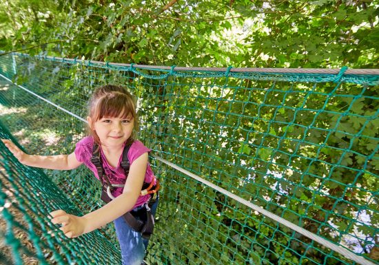 beauregard-aventure-parcours-rose-filet