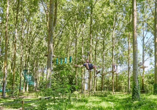 beauregard-aventure-parcours-viloet-tyrolienne