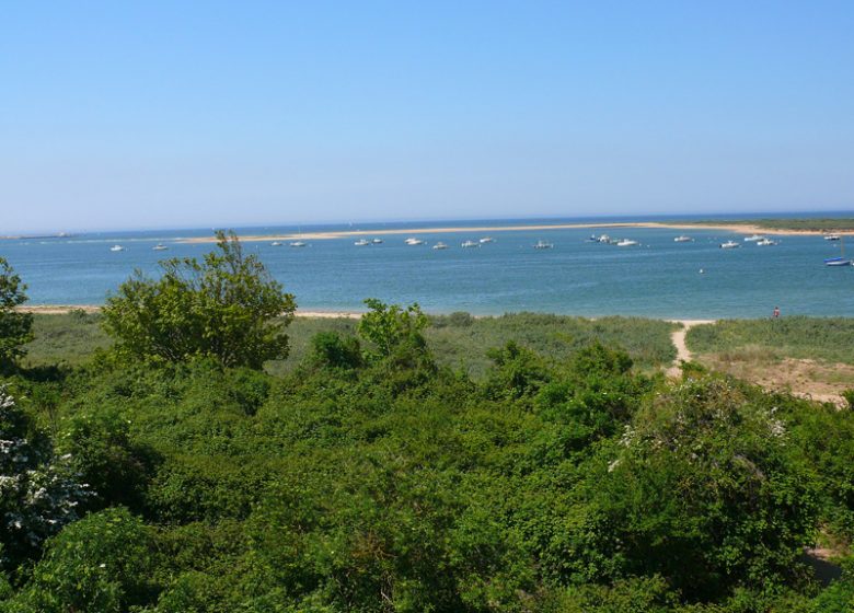 Ouistreham Côte de Nacre Normandie