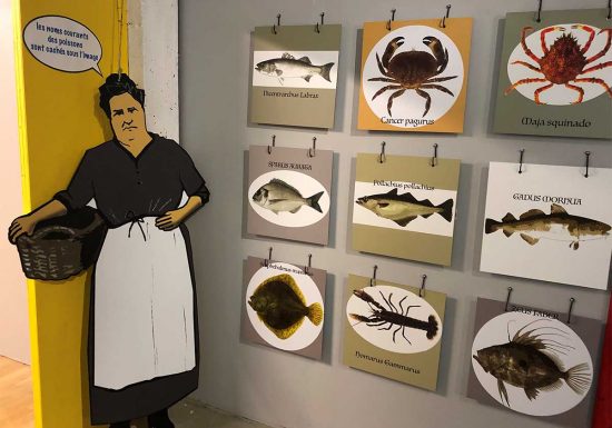 Quiz espèces poissons – Expo Bateaux de Normandie