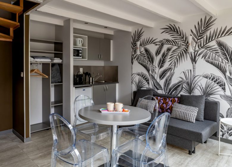 smart-appart-caen-grusse-studio-duplex-1