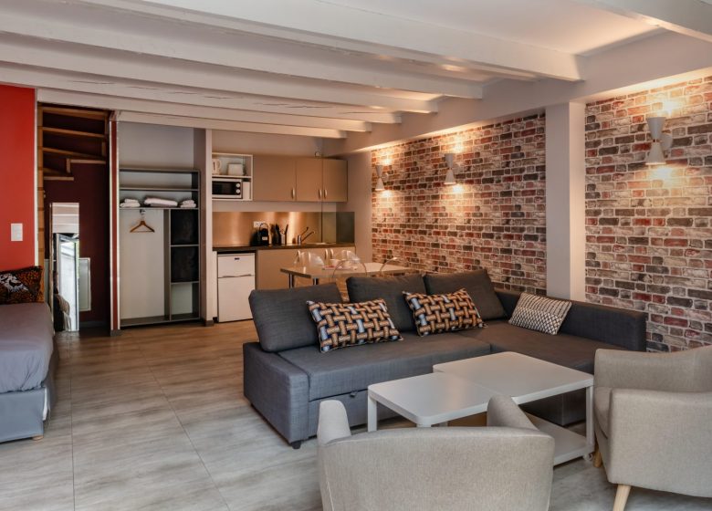 smart-appart-caen-grusse-appartement-duplex-1