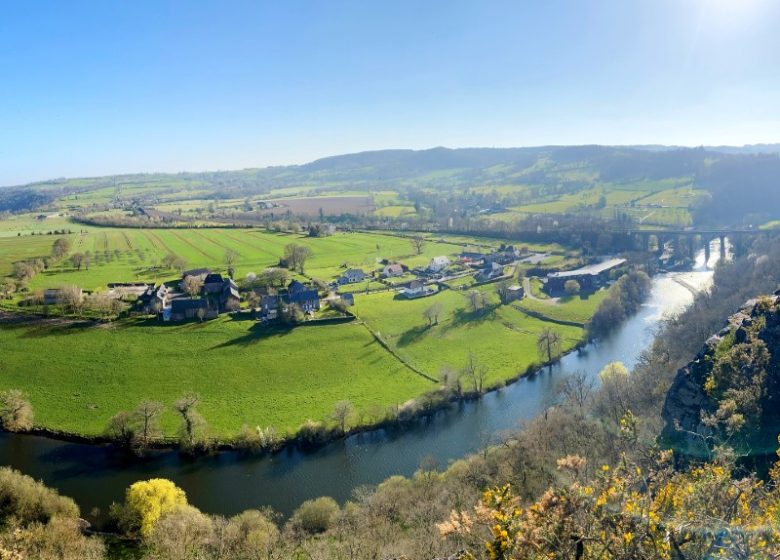 Suisse Normande @ Sara Adobe Stock