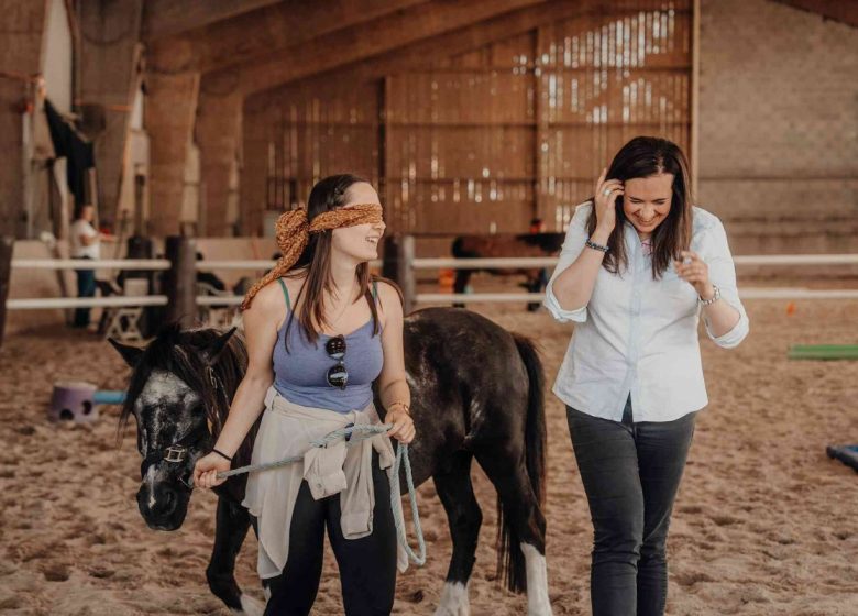 Teambuilding en équicoaching en Normandie