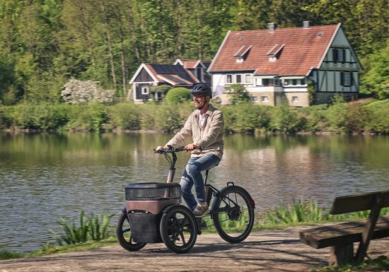 Thuja electric tricycle vanRaam