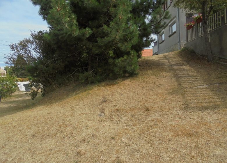 alouette-jardin-pente