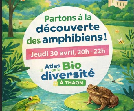 La soirée découverte du monde merveilleux des amphibiens