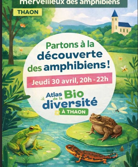 La soirée découverte du monde merveilleux des amphibiens