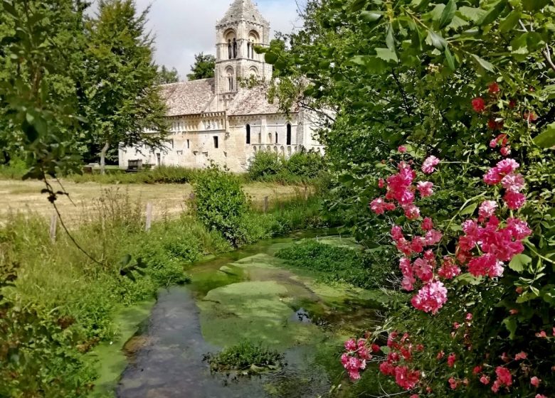 eglise-saint-pierre-thaon-roses-12 07 2019