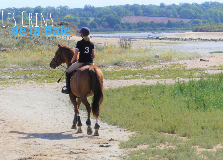 Balade à cheval dans la baie