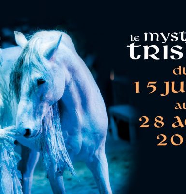 Spectacle équestre : Le mystère du Triskell