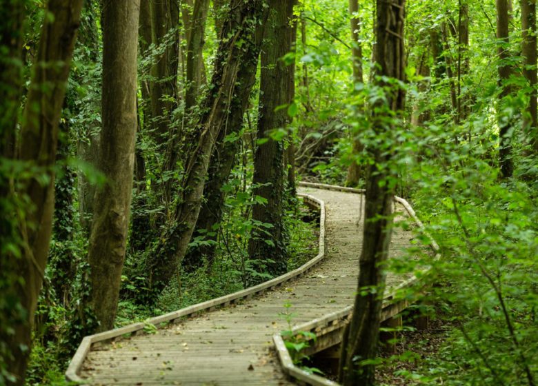 Passerelle aménagée dans le bois du Caprice.