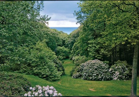 bois-de-morville-(Cpascal-cribier