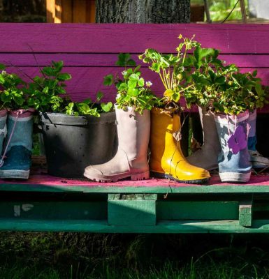 Un jardin à la médiathèque