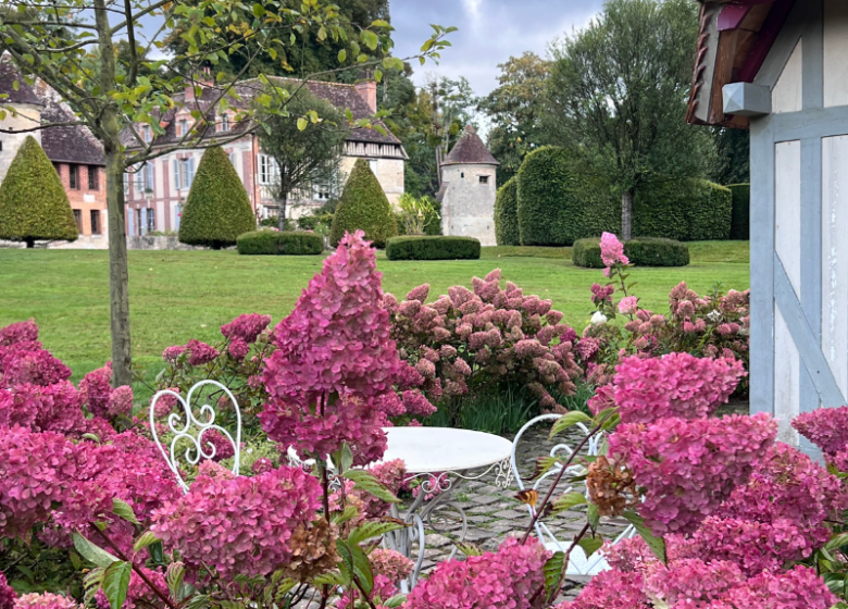 Les hydrangeas de la cabane du lutin