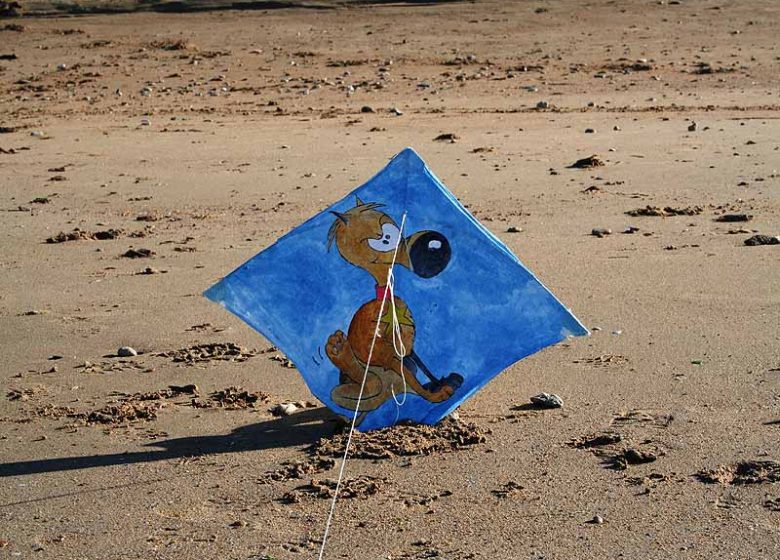 Cerf Volant sur la plage d'Hermanville