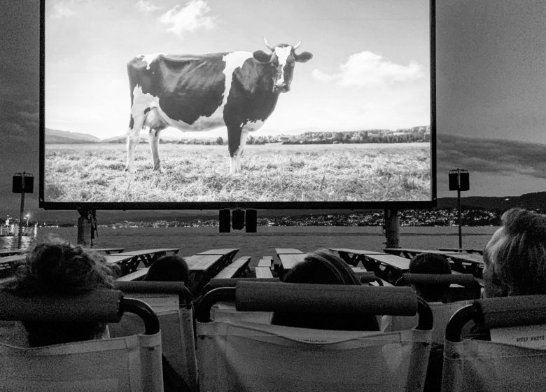 cine plein air Hérouville