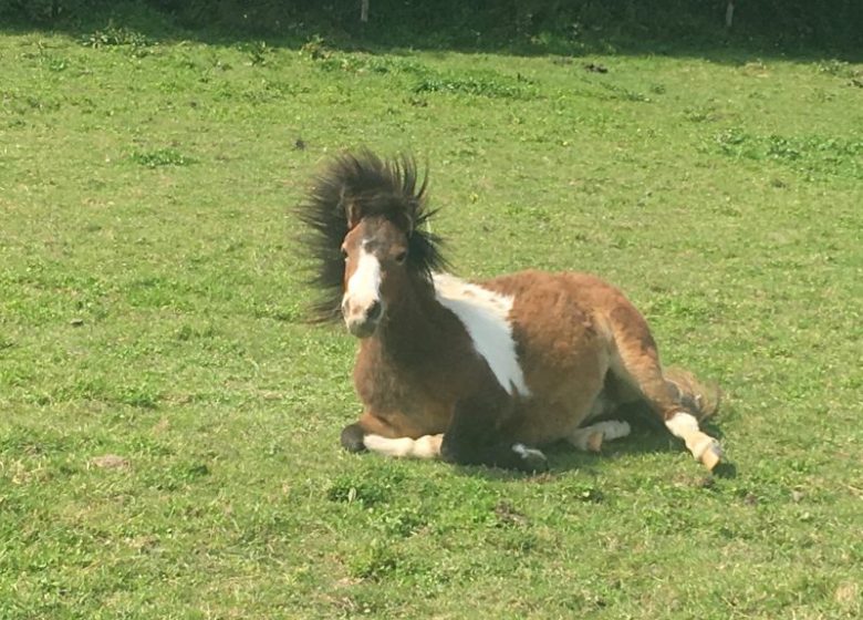 détente, douceur, bonne humeur