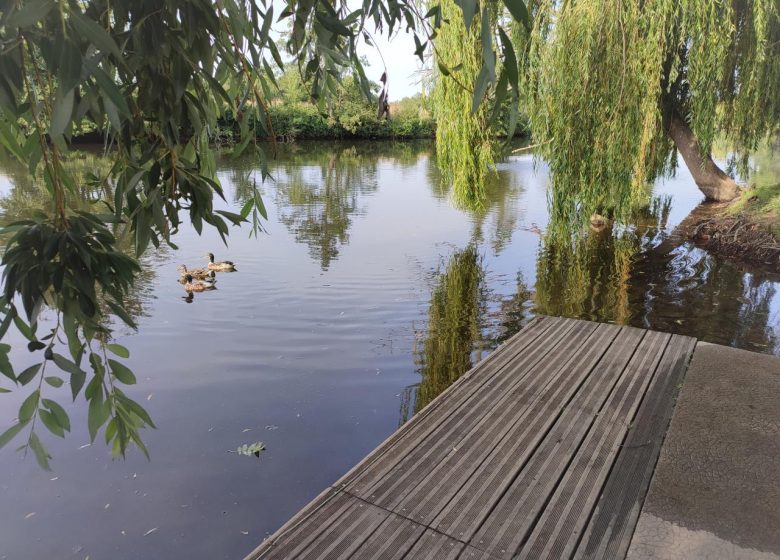 doos-josiane-bord-de-l-orne-1