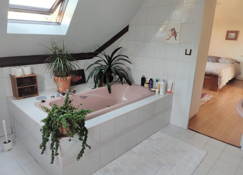 doos-josiane-salle-de-bain-1