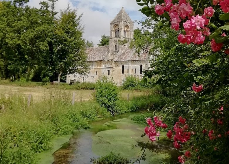 eglise-saint-pierre-thaon