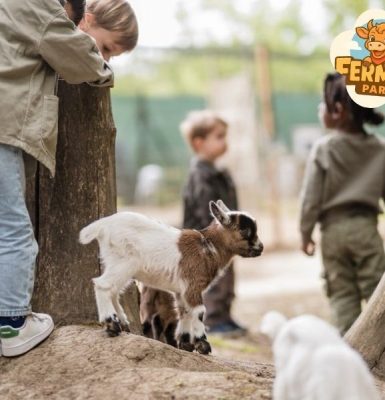 Ferme pédagogique Fermily