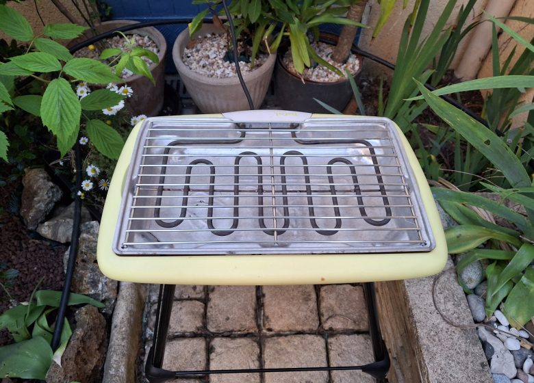gite-myrtilles-barbecue-electrique-1