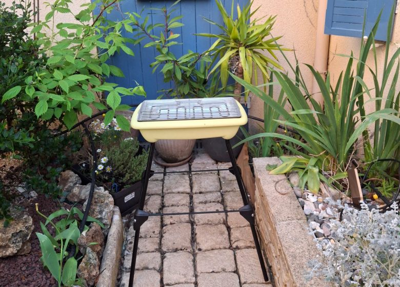 gite-myrtilles-emplacement-barbecue-electrique