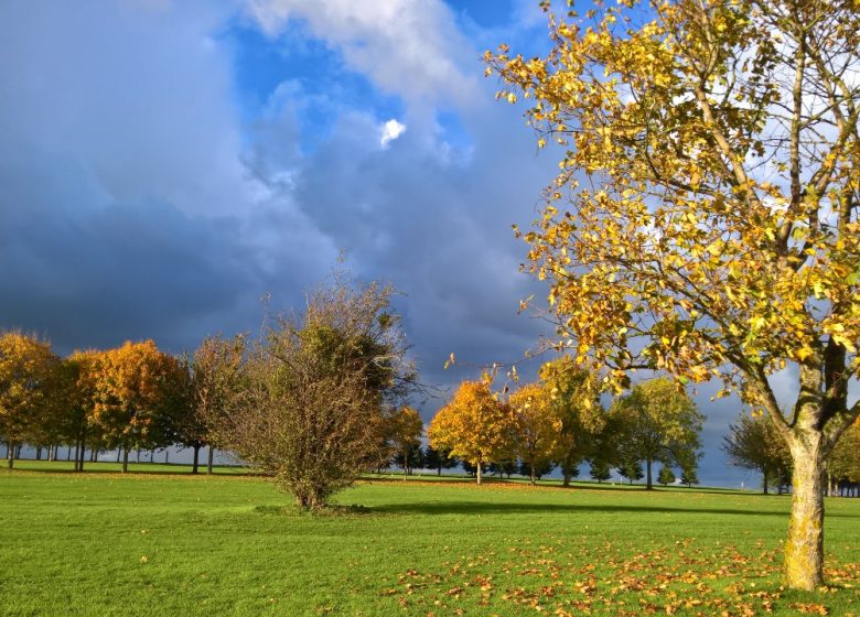 golf-caen-la-mer-bois-orageux