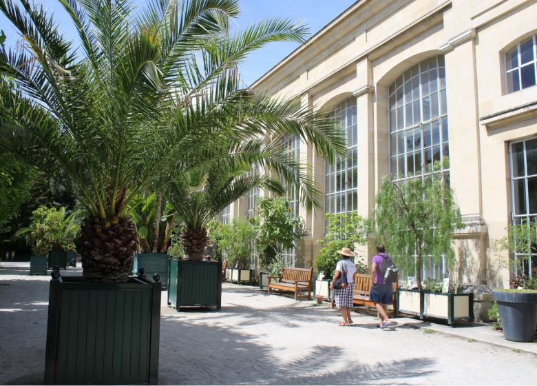 jardin-des-plantes-l-orangerie