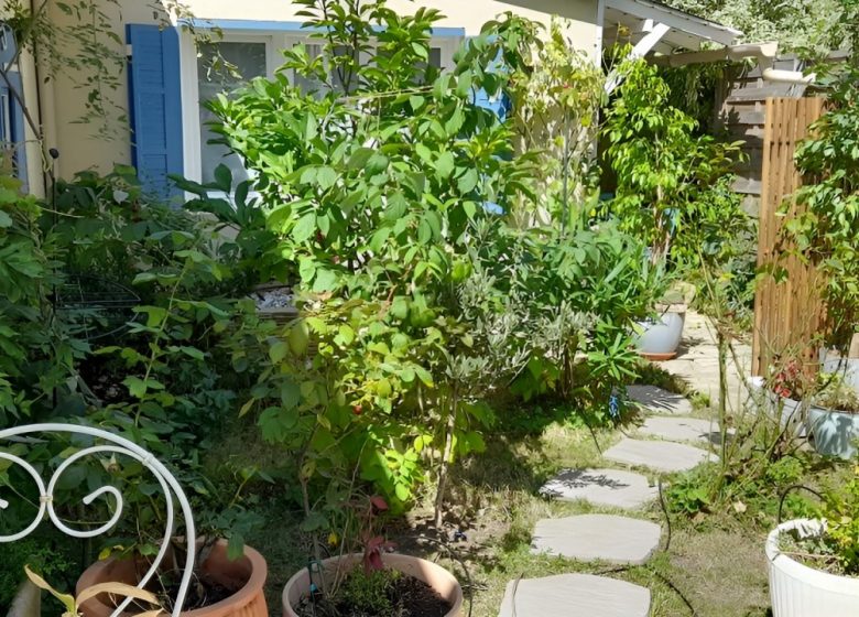 jardin et terrasse août 2025