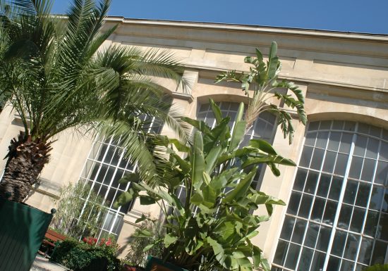 Serre du jardin des plantes Caen