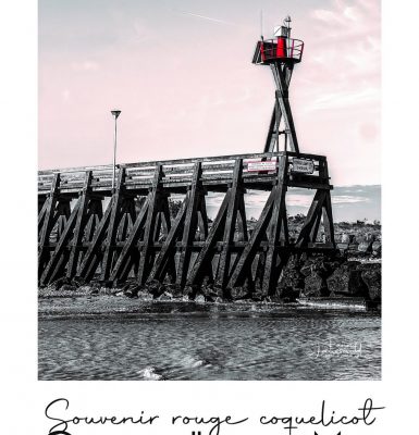 Exposition de Fanny Joussaud « C’est mon point de vue : un regard sensible sur notre région »