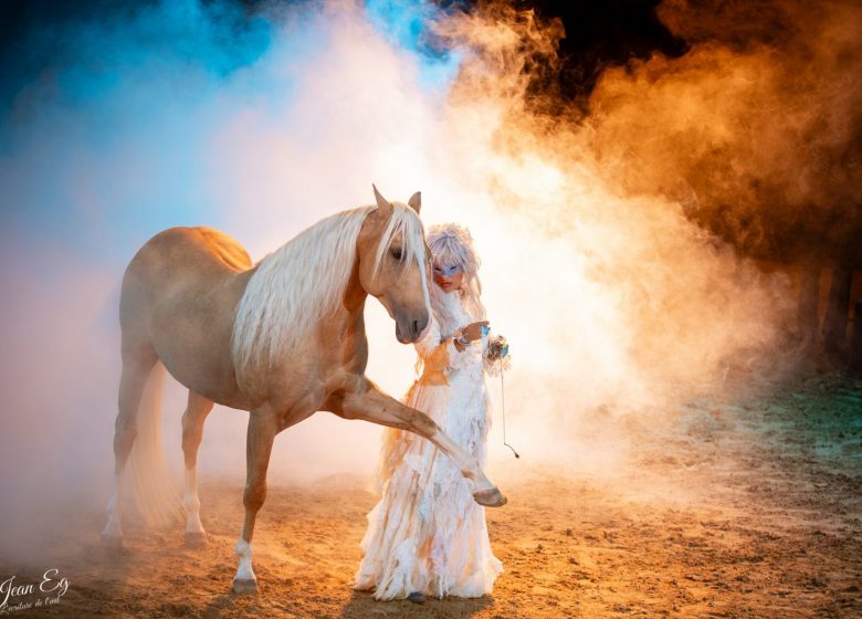 Théâtre équestre de la Pommeraye