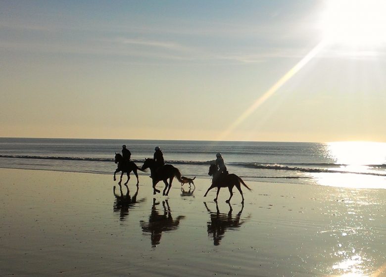Balade à cheval sur la plage avec le Centre équestre L'Etrier de la Plage à Ouistreham en Normandie