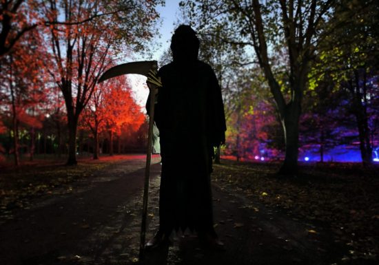 Halloween bois de l&rsquo;an 2000