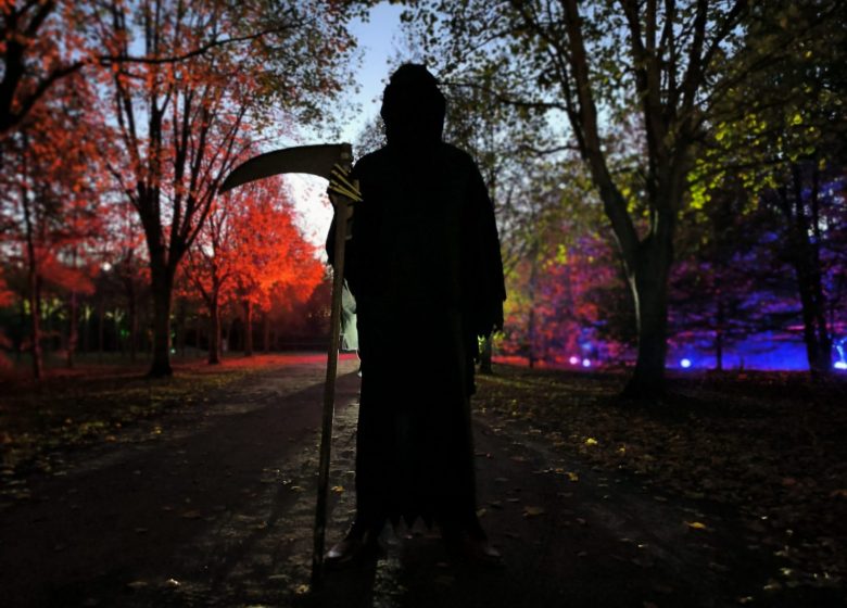 Halloween bois de l&rsquo;an 2000