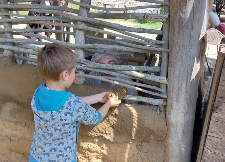 la technique du torchis