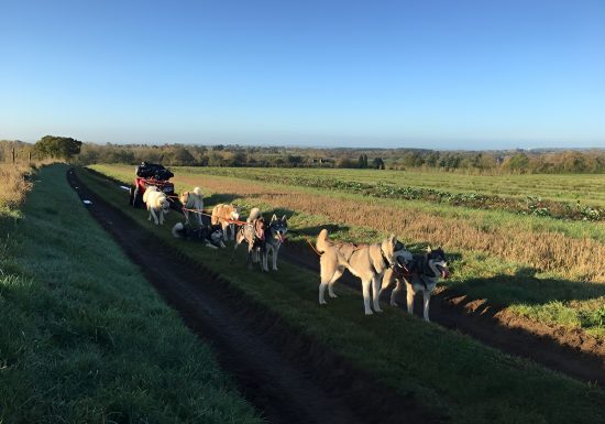 Will go to Park Lénault – Condé-en-Normandie